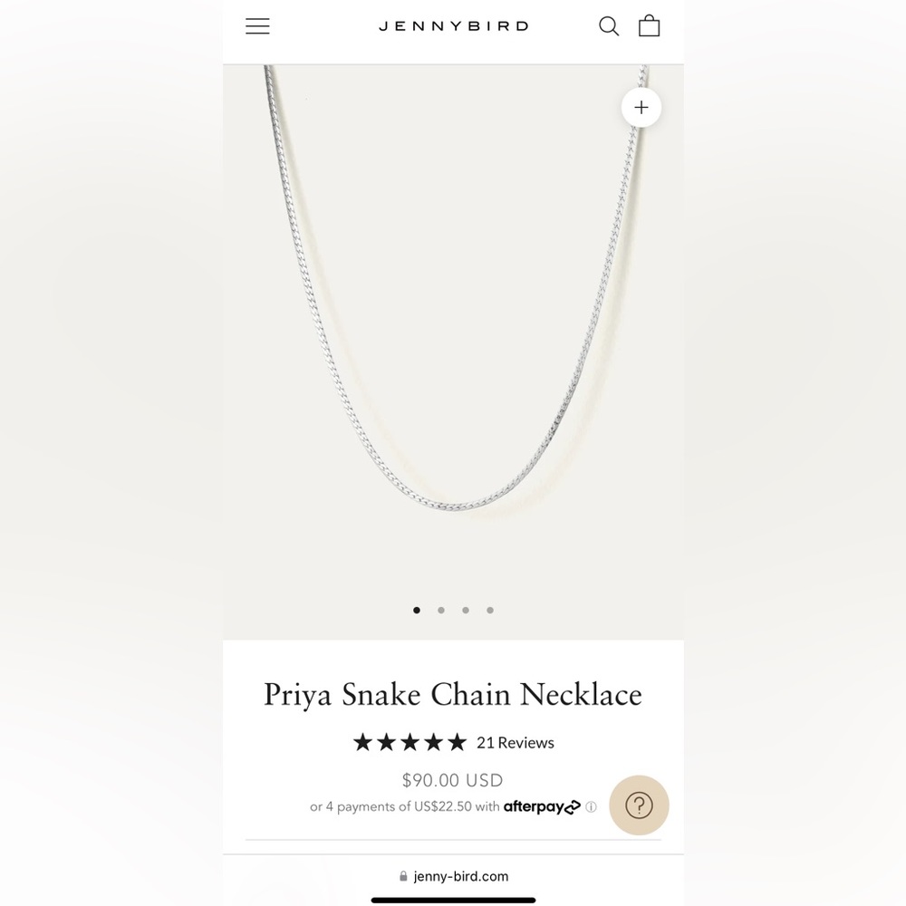 Jenny Bird Priya Chain Silver Necklace